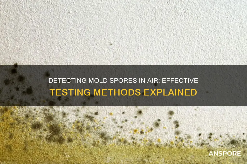 can you test for mold spores in the air
