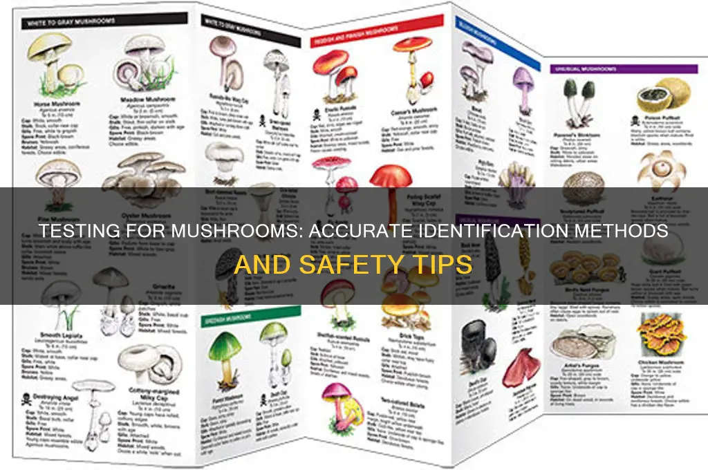 can you test for mushroom