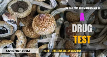 Mushrooms in Drug Tests: Detectable or Under the Radar?