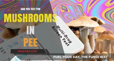 Detecting Mushrooms in Urine: Myths, Facts, and Testing Methods