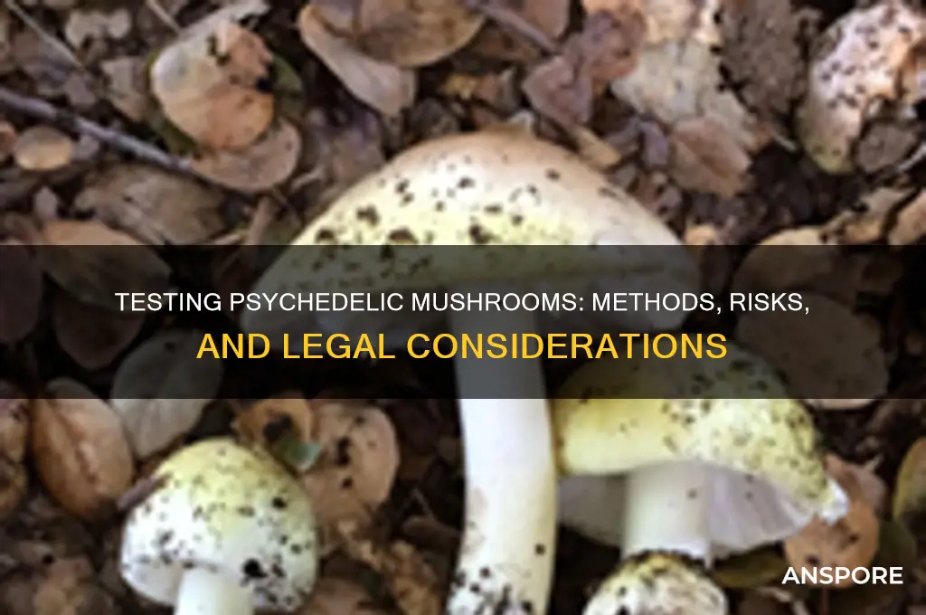 can you test for psychedelic mushrooms