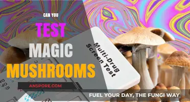 Exploring the Science: Can You Test Magic Mushrooms Safely?