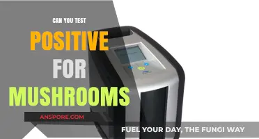Can You Test Positive for Mushrooms? Understanding Drug Tests and Psilocybin