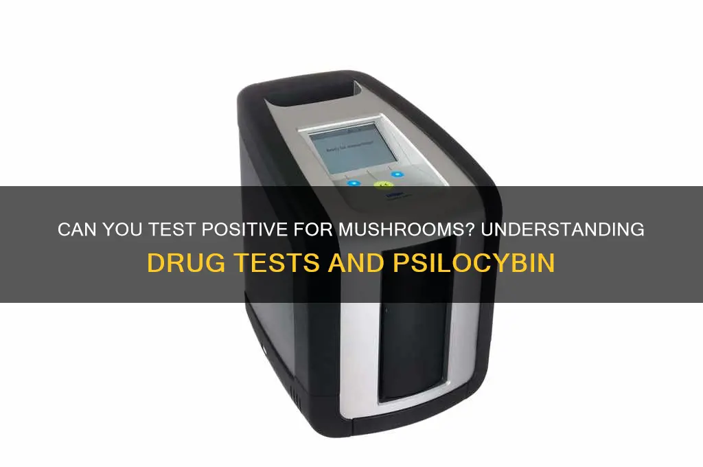 can you test positive for mushrooms
