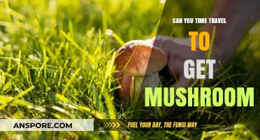 Exploring Time Travel: Can You Journey Back for Mushrooms?