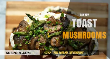 Can You Toast Mushrooms? A Simple Guide to Crispy Fungi
