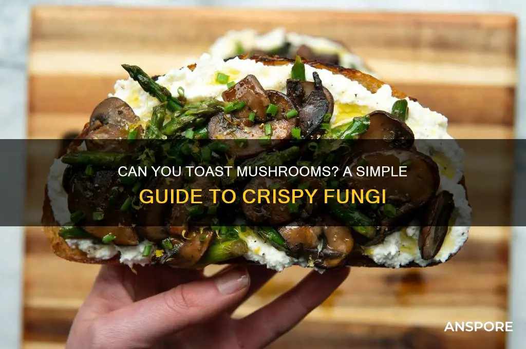 can you toast mushrooms
