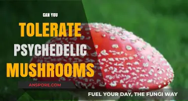 Exploring Tolerance: Psychedelic Mushrooms and Their Effects on the Mind