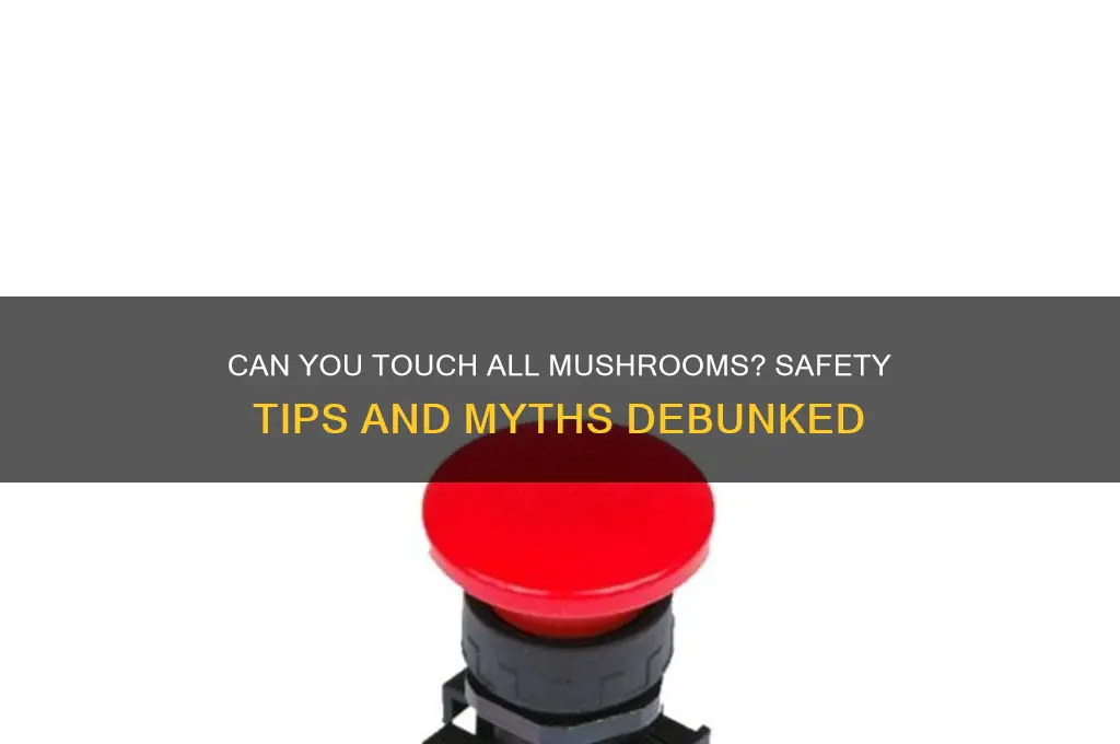 can you touch all mushrooms