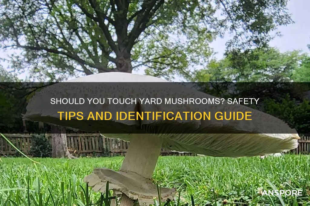 can you touch mushrooms in your yard