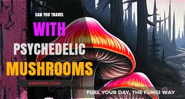 Traveling with Psychedelic Mushrooms: Legal Risks and Safe Practices