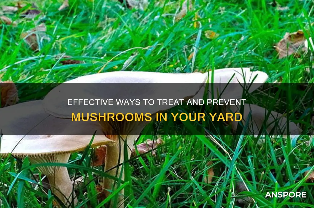 can you treat for mushrooms in yard