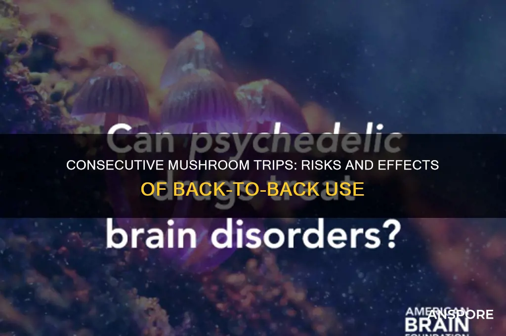 can you trip 2 days in a row on mushrooms