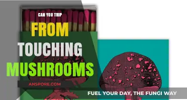 Touching Mushrooms: Can Accidental Contact Cause a Psychedelic Trip?