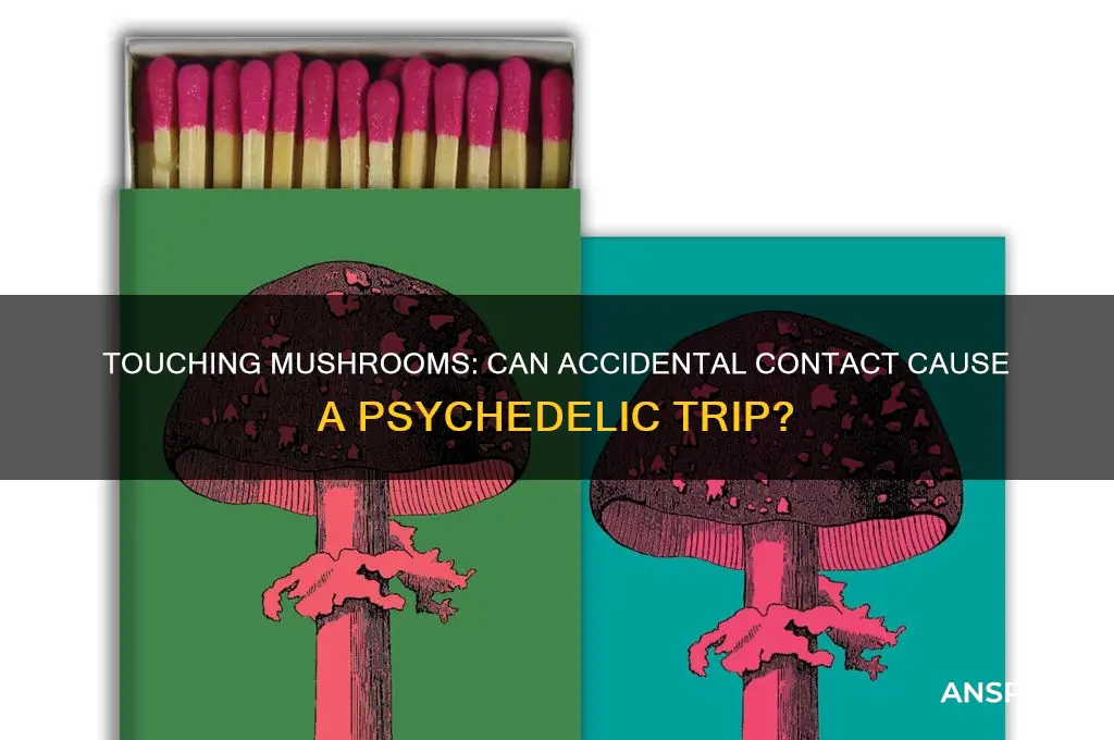 can you trip from touching mushrooms