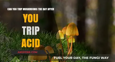 Mixing Mushrooms and Acid: Safe to Trip Consecutive Days?