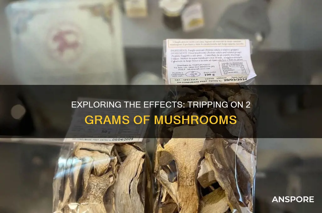 can you trip off 2 grams of mushrooms