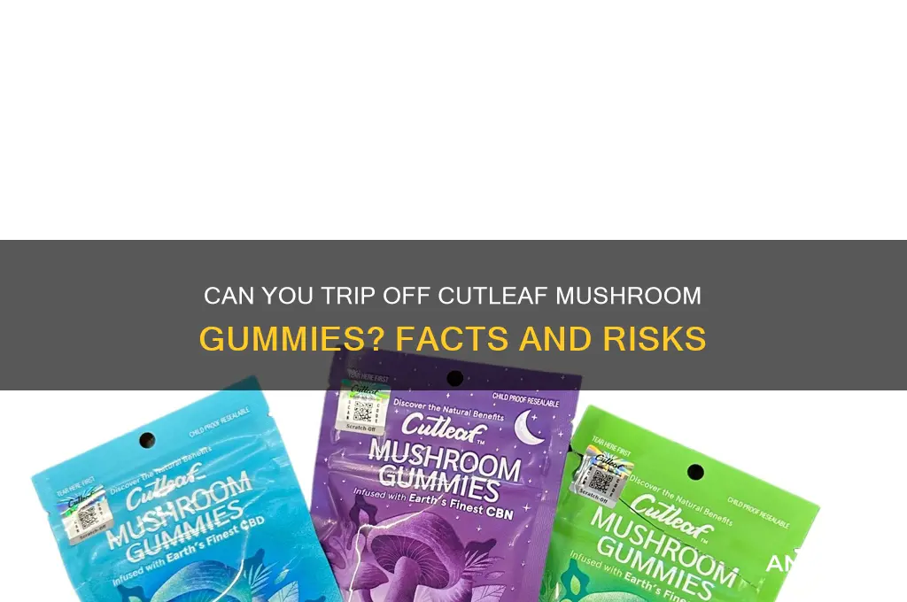 can you trip off cutleaf mushroom gummies
