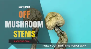 Can Mushroom Stems Cause Trips? Exploring Psilocybin Content and Effects