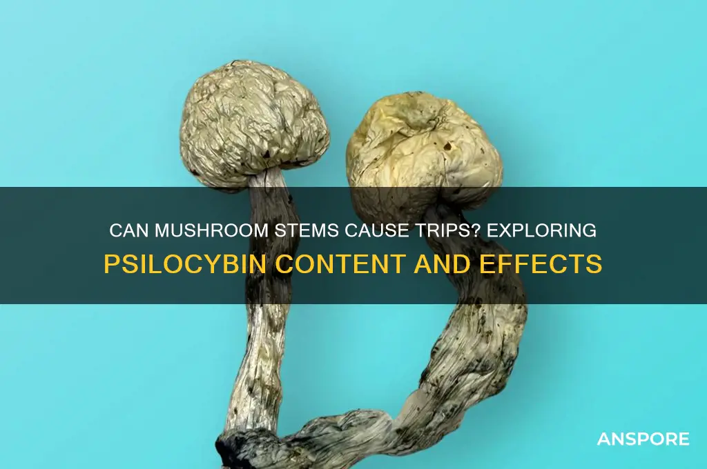 can you trip off mushroom stems