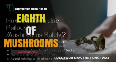 Tripping on Half an Eighth: Exploring Mushroom Dosage and Effects