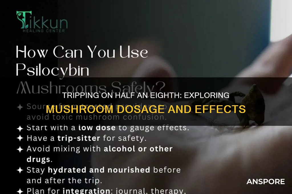 can you trip on half of an eighth of mushrooms