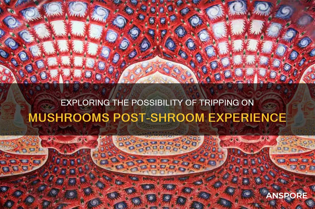 can you trip on mushrooms after shrooms