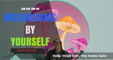 Solo Mushroom Trips: Safety, Effects, and What to Expect