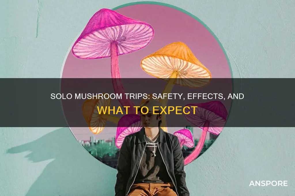 can you trip on mushrooms by yourself
