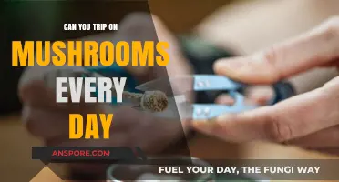 Daily Mushroom Trips: Risks, Reality, and Long-Term Effects Explained