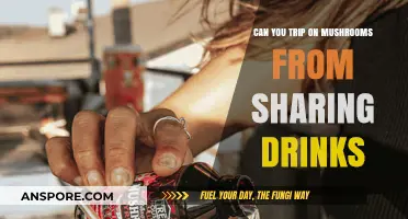 Sharing Drinks and Shrooms: Can You Accidentally Trip?