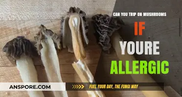 Mushroom Allergies and Tripping: Risks, Reactions, and Safety Concerns