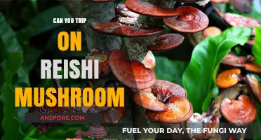 Can Reishi Mushrooms Cause Tripping? Debunking Myths and Facts