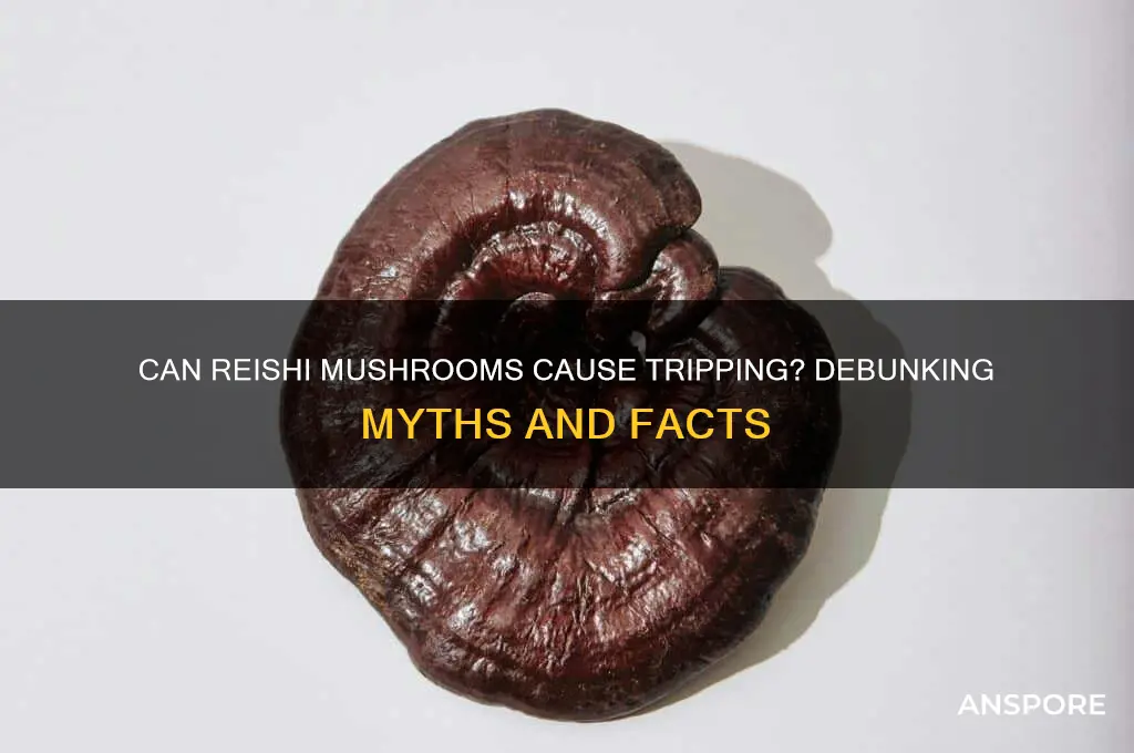 can you trip on reishi mushroom