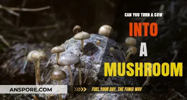 Transforming Cows into Mushrooms: Exploring the Science and Possibilities