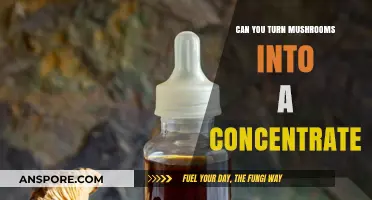 Transforming Mushrooms: The Process of Creating Potent Concentrates