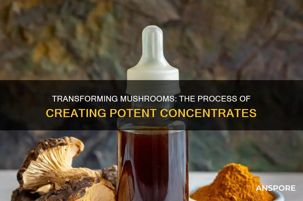 can you turn mushrooms into a concentrate