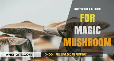 Blending Magic Mushrooms: Safe Techniques and Creative Culinary Uses
