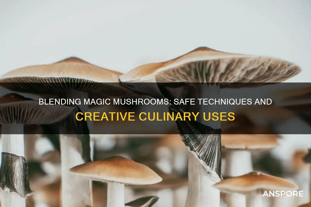 can you use a blender for magic mushrooms