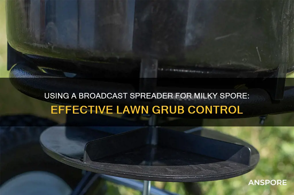 can you use a broadcast spreader for milky spore