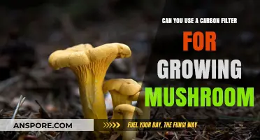 Using Carbon Filters for Mushroom Cultivation: Benefits and Best Practices