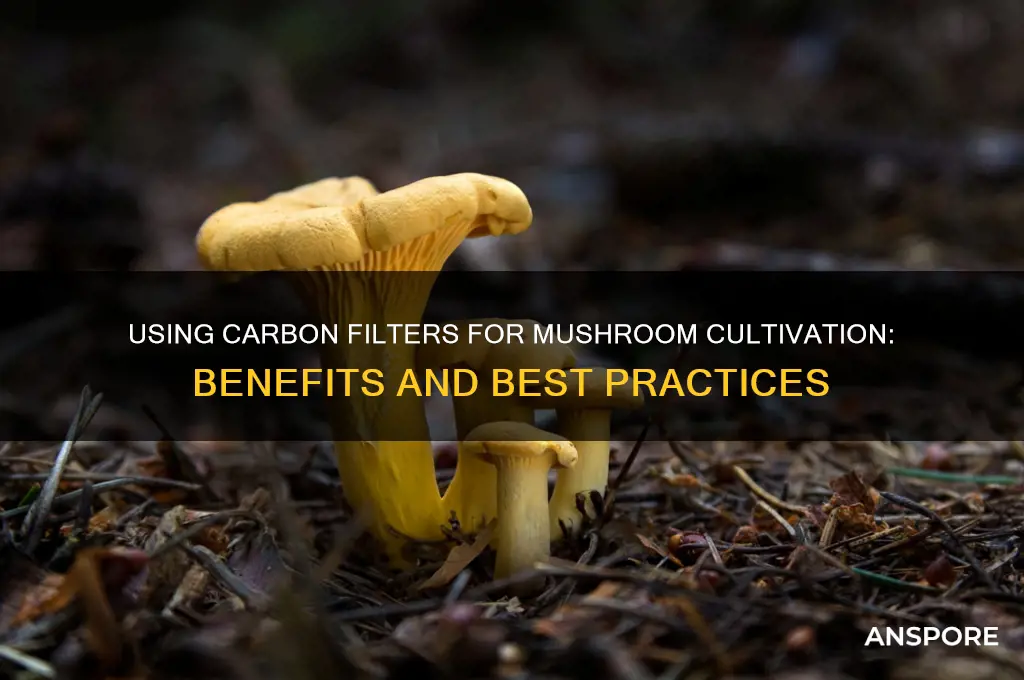 can you use a carbon filter for growing mushrooms