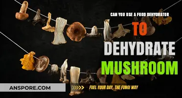 Dehydrating Mushrooms: Using a Food Dehydrator for Perfect Preservation