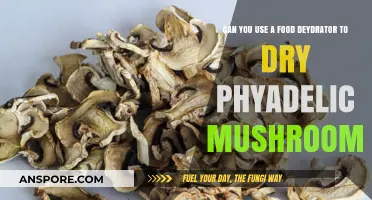 Drying Psychedelic Mushrooms: Can a Food Dehydrator Work Safely?