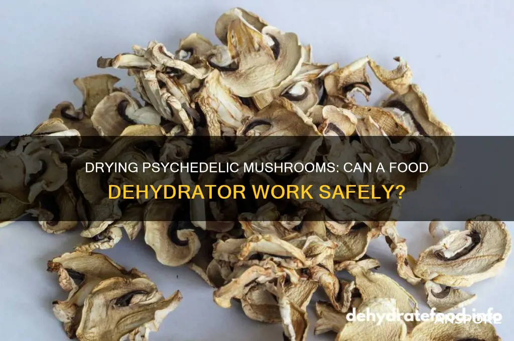 can you use a food deydrator to dry phyadelic mushrooms