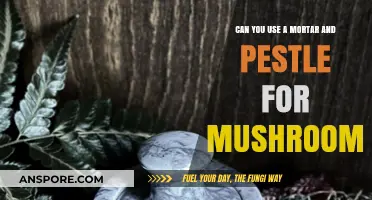 Using a Mortar and Pestle for Mushroom Preparation: Tips and Tricks