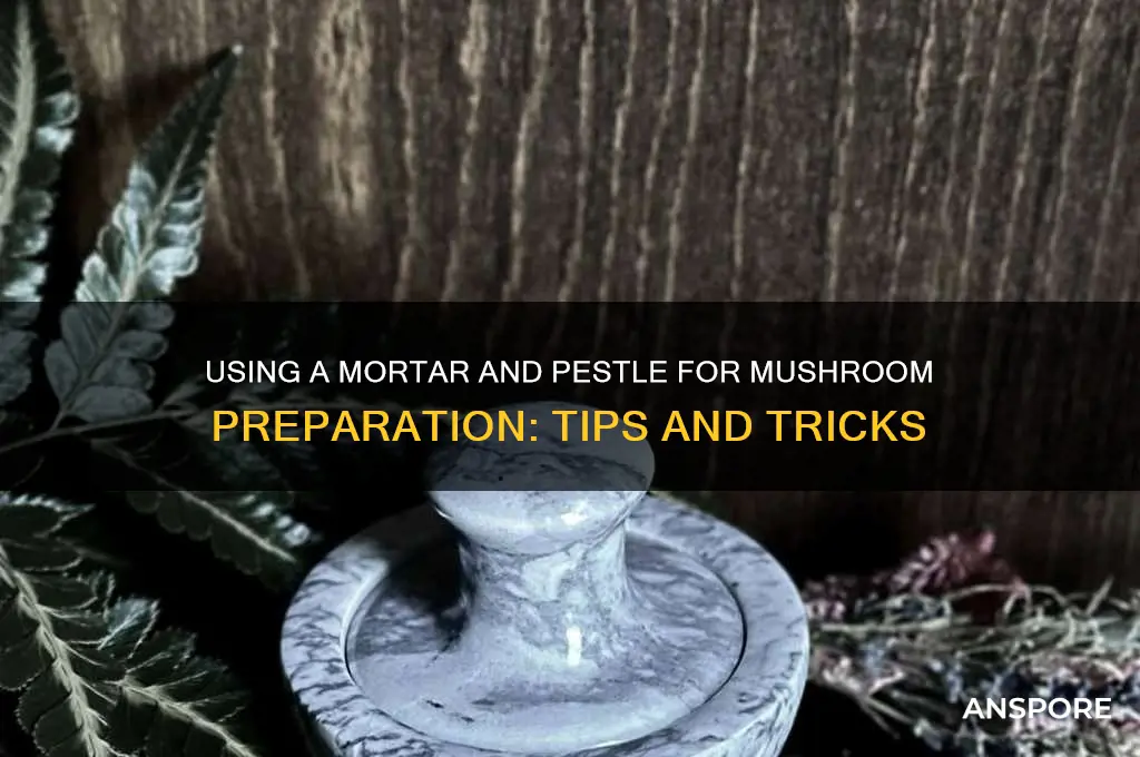 can you use a mortar and pestle for mushrooms