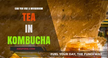 Mushroom Tea in Kombucha: A Unique Fermentation Experiment Explored