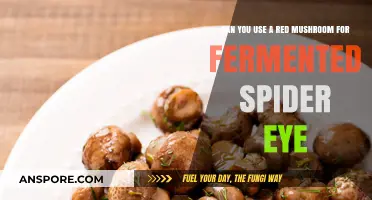 Red Mushroom and Fermented Spider Eye: A Brewing Compatibility Guide