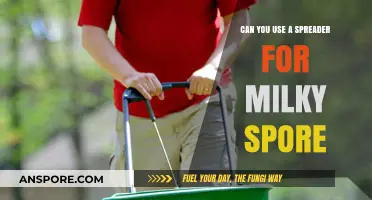 Using a Spreader for Milky Spore: Effective Application Tips